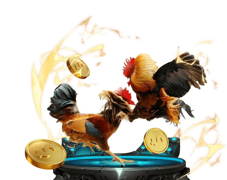 Giao diện hướng dẫn các bước đặt cược tại 123.b